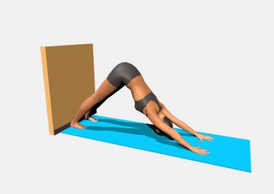 adho-mukha-svanasana-variation-4-view1-images-colors-lily-yoga