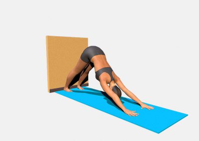 adho-mukha-svanasana-variation-4-view2-images-colors-lily-yoga