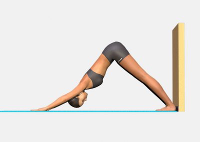 adho-mukha-svanasana-variation-4-view3-images-colors-lily-yoga