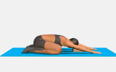 Adho Mukha Virasana (variation 2), blanket on heels and brick under forehead