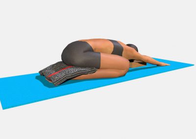 adho-mukha-virasana-variation-2-view3-images-colors-lily-yoga