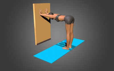 Ardha Uttanasana (variation 1)