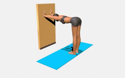 Ardha Uttanasana (variation 1)