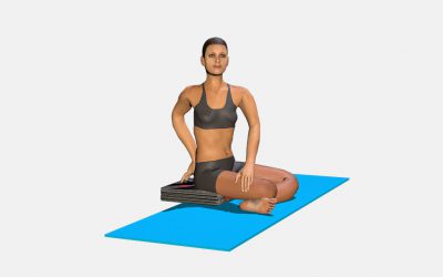 Parsva Sukhasana (variation 1)