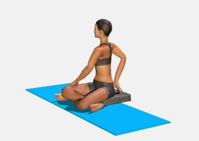 parsva-in-sukhasana-variation-1-view3-images-colors-lily-yoga