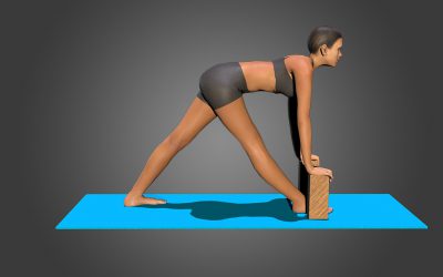 Parsvottanasana (variation 2)