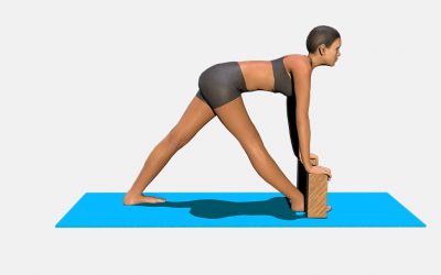 Parsvottanasana (variation 2)