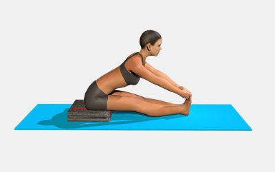 Paschimottanasana (variation 5)