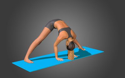 Prasarita Padottanasana (variation 1)