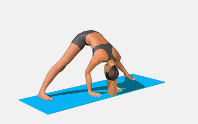Prasarita Padottanasana (variation 1)