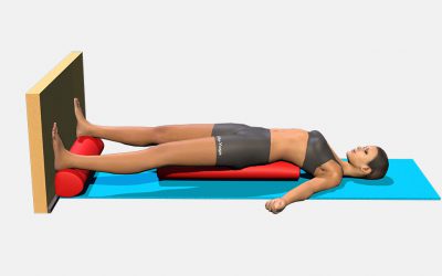 Setu Bandha Sarvangasana (variation 6)