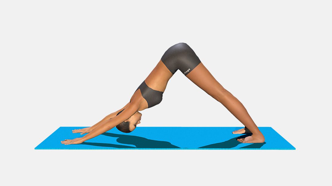 Adho Mukha Svanasana