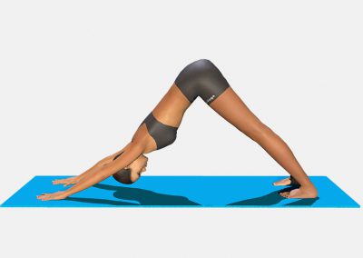 adho-mukha-svanasana-view1-images-colors-lily-yoga