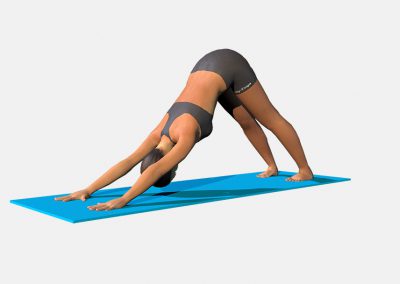 adho-mukha-svanasana-view3-images-colors-lily-yoga