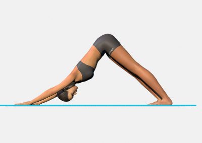 adho-mukha-svanasana-view4-images-colors-lily-yoga