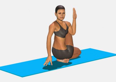 ardha-matsyendrasana-view2-images-colors-lily-yoga