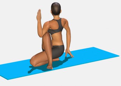 ardha-matsyendrasana-view4-images-colors-lily-yoga