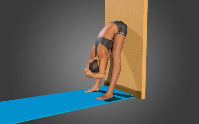 Baddha Hasta Uttanasana (variation 9)