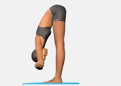 baddha-hasta-uttanasana-view4-images-colors-lily-yoga