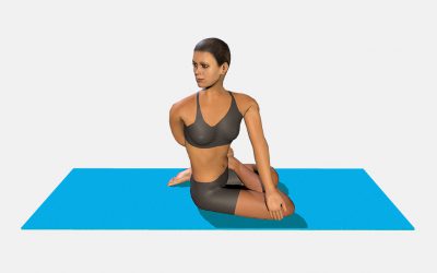 Bharadvajasana II