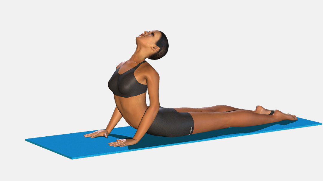 Bhujangasana