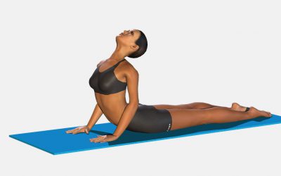 Bhujangasana