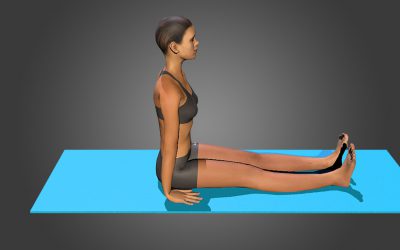 Dandasana (variation 2) feet apart