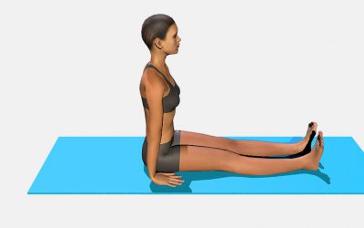 Dandasana (variation 2) feet apart