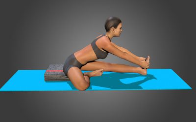 Janu Sirsasana (variation 3) on blankets and back straight