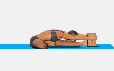 Janu Sirsasana (variation 4) bricks behind the foot