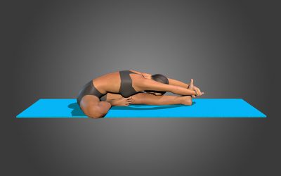 Janu Sirsasana