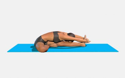 Janu Sirsasana
