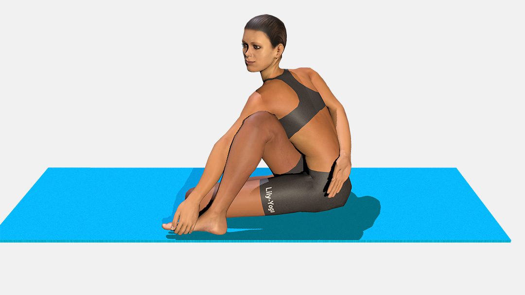 Matsyendrasana (variation 1)