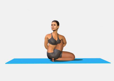matsyendrasana-view1-images-colors-lily-yoga