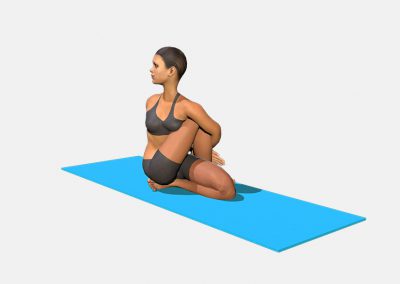matsyendrasana-view2-images-colors-lily-yoga