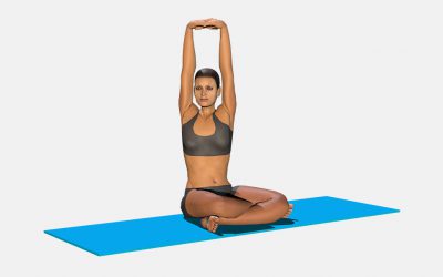 Parsva Parvatasana Sukhasana