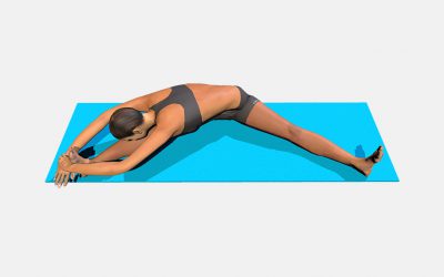 Parsva Upavistha Konasana