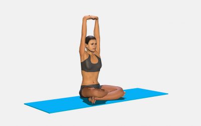Parvatasana Sukhasana