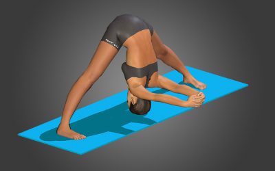 Prasarita Padottanasana (variation 2) arms extended