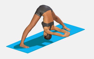 Prasarita Padottanasana (variation 2) arms extended