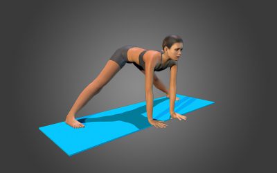 Prasarita Padottanasana (variation 3) back straight