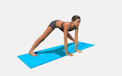 Prasarita Padottanasana (variation 3) back straight