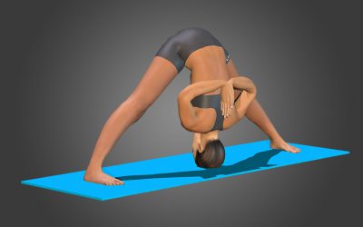 Prasarita Padottanasana (variation 4) namaste