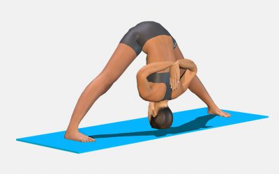 Prasarita Padottanasana (variation 4) namaste