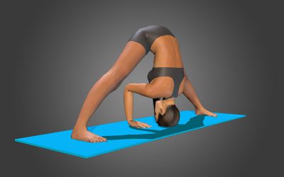 Prasarita Padottanasana