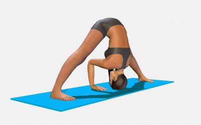 Prasarita Padottanasana