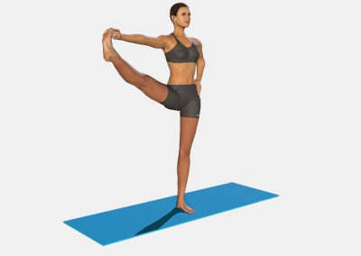 utthita-parsva-padangusthasana-view1-images-colors-lily-yoga