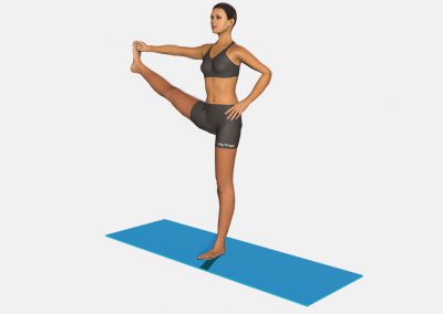 utthita-parsva-padangusthasana-view2-images-colors-lily-yoga