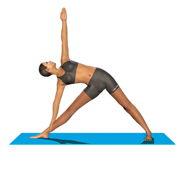 Largest Library of 3D Yoga Poses | Find inspiration with Lily Yoga
